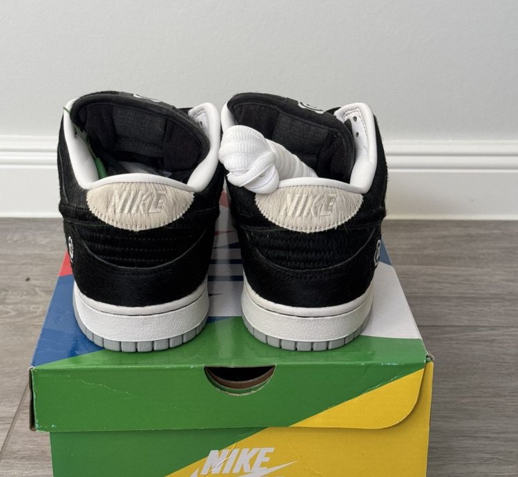 Nike Sb Dunk Low Medicom Toy Be Arbrick