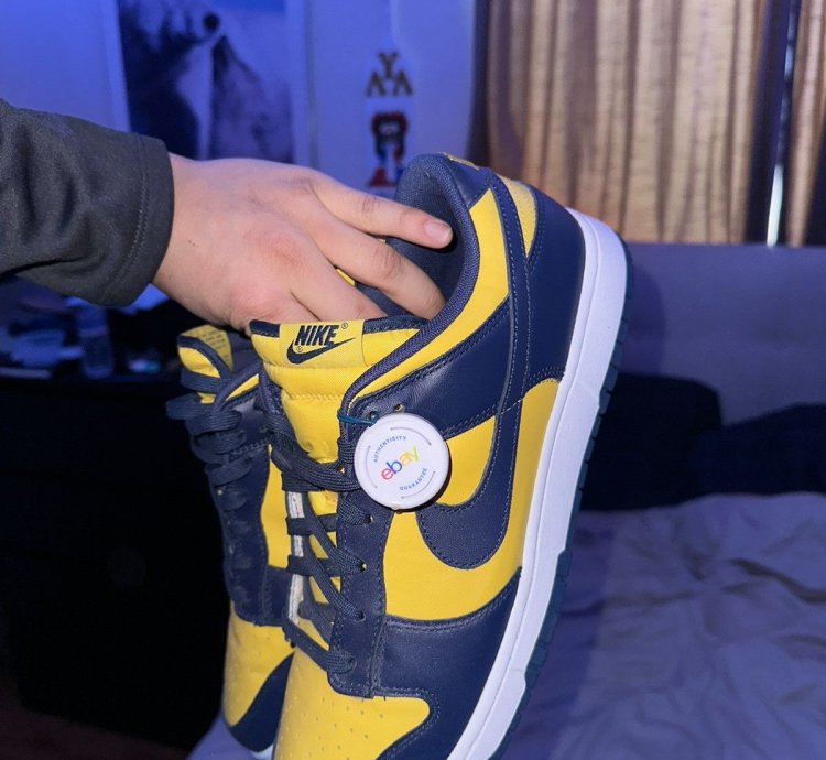 Nike Sb Dunk Low Michigan National Champions Size 12