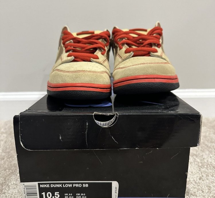 Nike Sb Dunk Low Money Cat