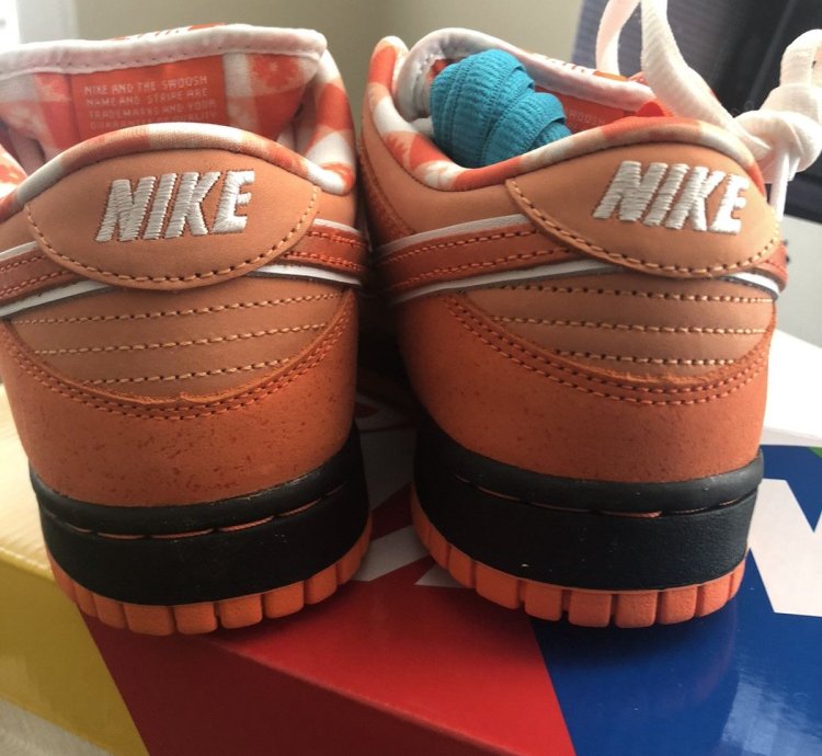Nike Sb Dunk Low Orange Lobster