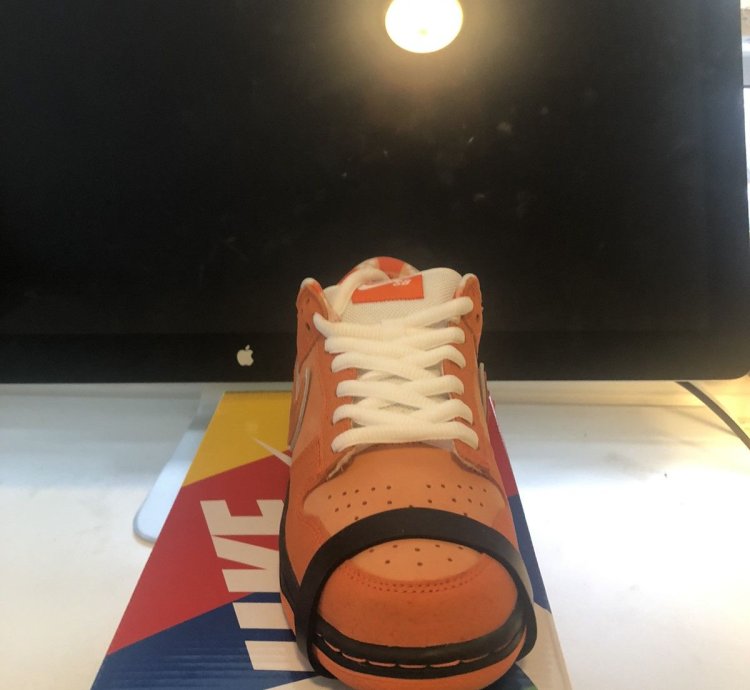Nike Sb Dunk Low Orange Lobster