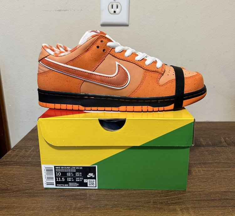 Nike Sb Dunk Low Orange Lobster Size 10m Fd8776-800 New