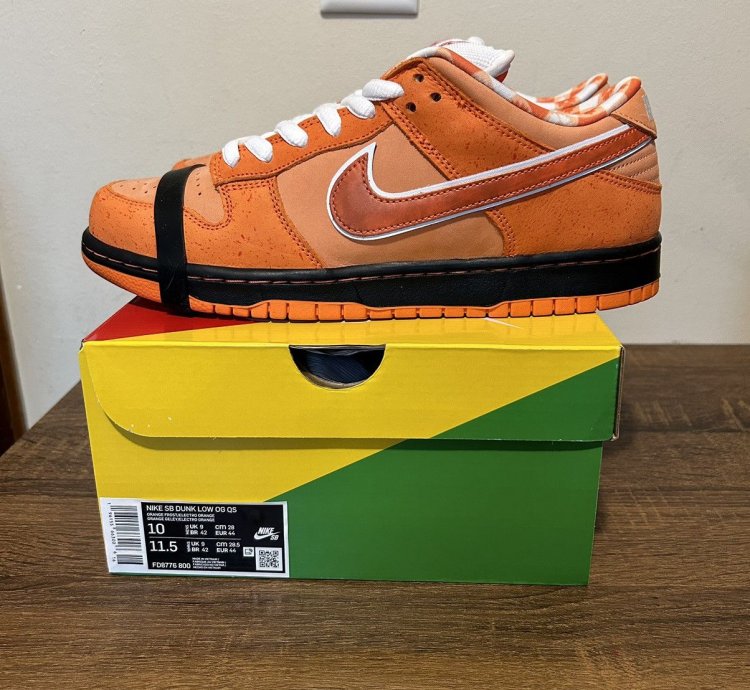 Nike Sb Dunk Low Orange Lobster Size 10m Fd8776-800 New
