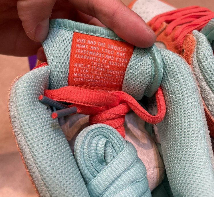Nike Sb Dunk Low Orange Noise Aqua Emerald Rise