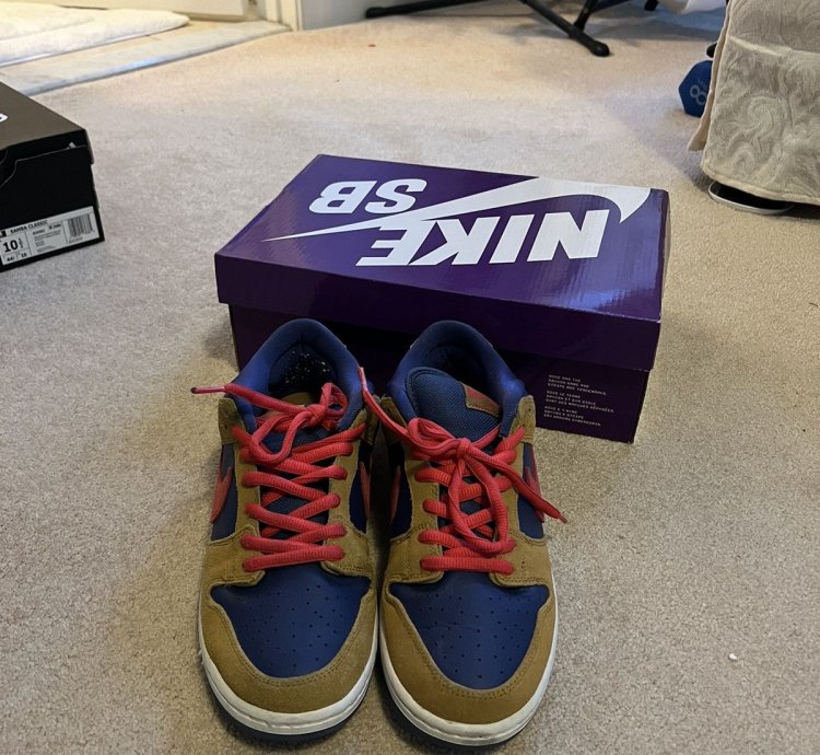 Nike Sb Dunk Low Papa Bear
