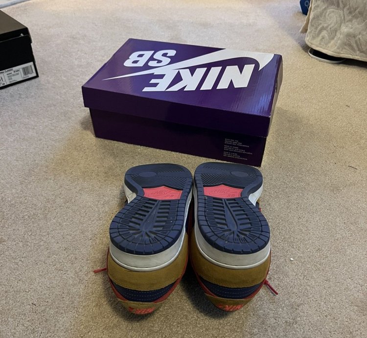 Nike Sb Dunk Low Papa Bear