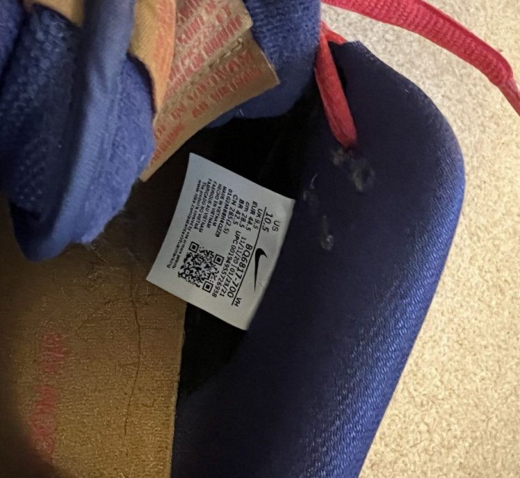 Nike Sb Dunk Low Papa Bear