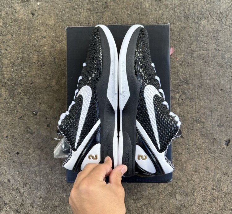 Kobe 6 Protro Mambacita