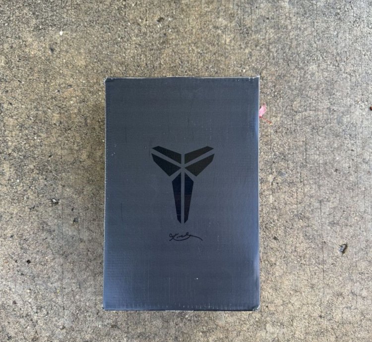 Kobe 6 Protro Mambacita