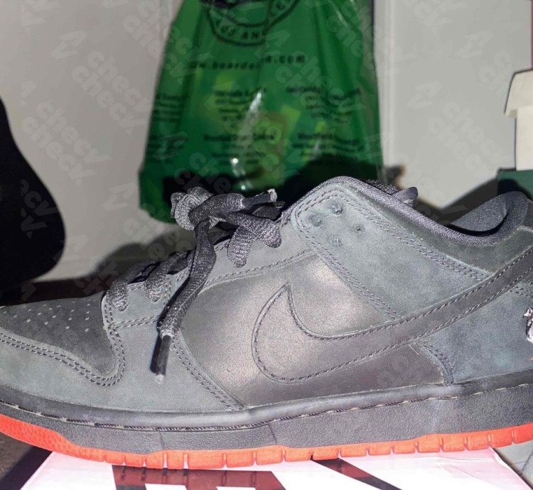 Nike Sb Dunk Low Pigeons