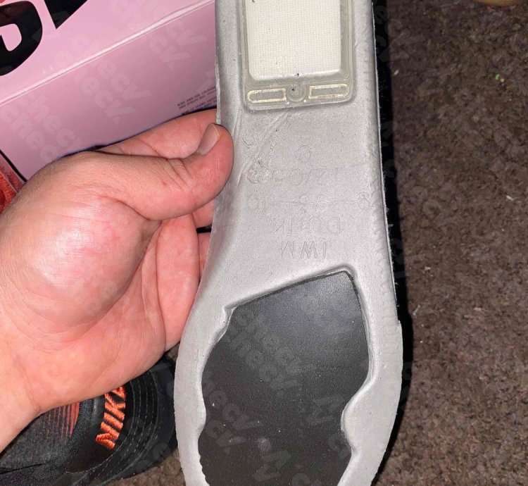 Nike Sb Dunk Low Pigeons