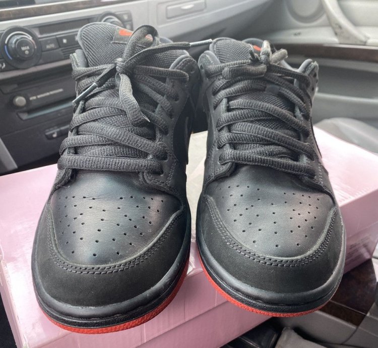 Nike Sb Dunk Low Pigeons