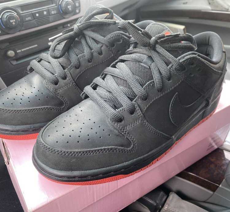 Nike Sb Dunk Low Pigeons