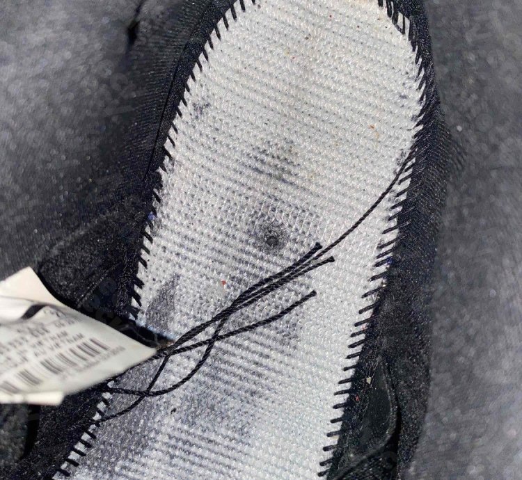 Nike Sb Dunk Low Pigeons