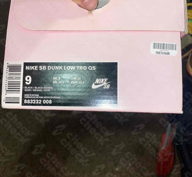 Nike Sb Dunk Low Pigeons