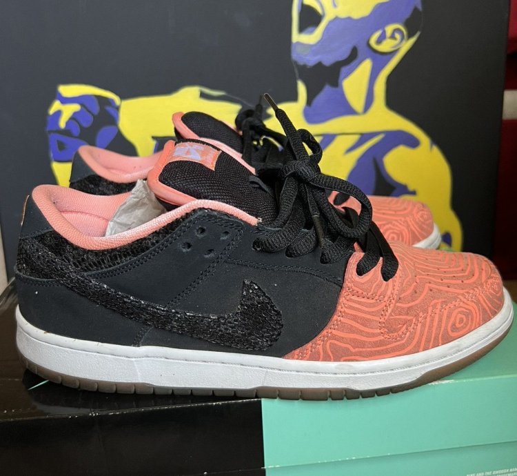 Nike Sb Dunk Low Premier Fish Ladder