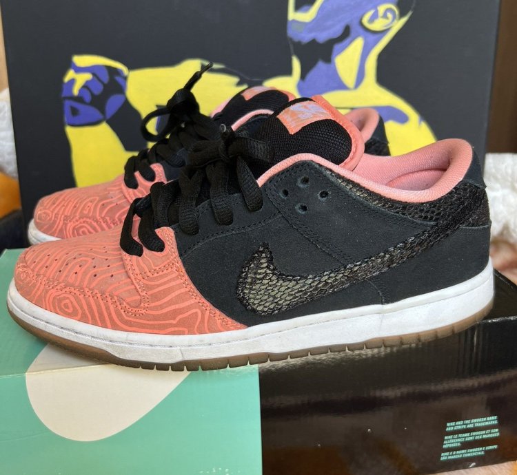 Nike Sb Dunk Low Premier Fish Ladder