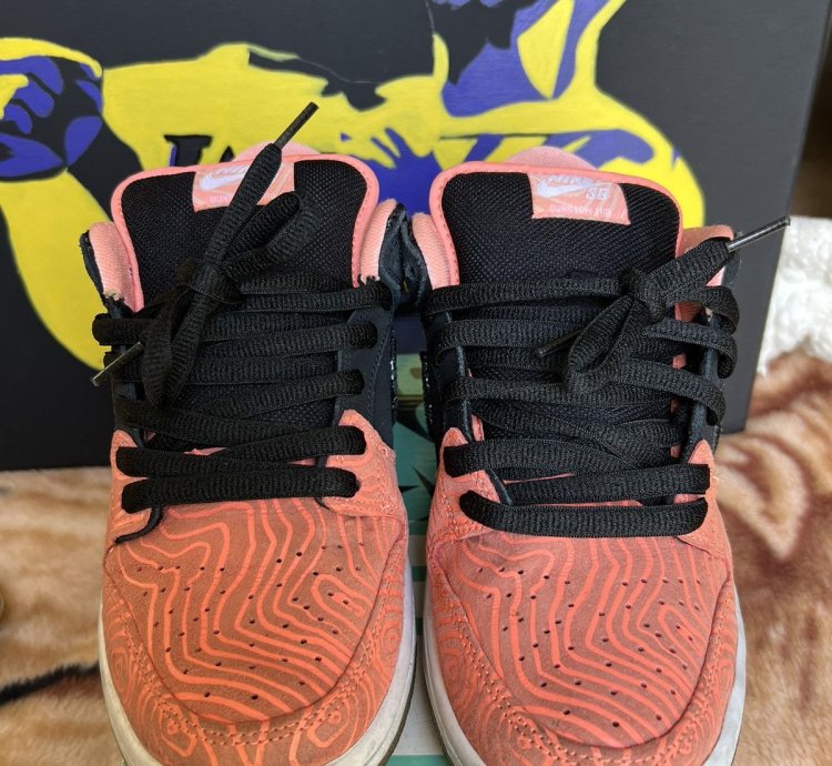 Nike Sb Dunk Low Premier Fish Ladder