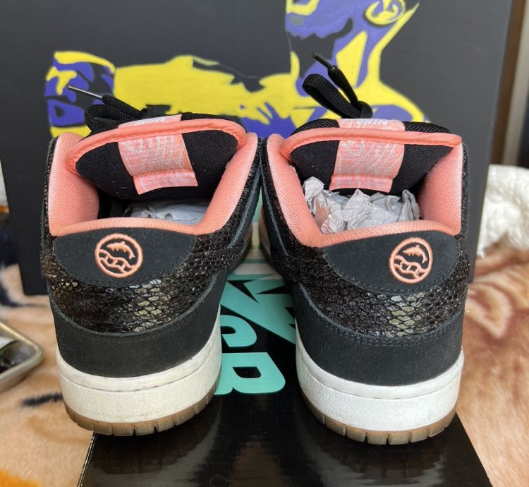 Nike Sb Dunk Low Premier Fish Ladder
