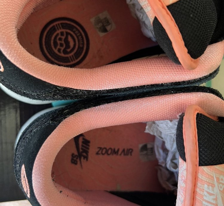 Nike Sb Dunk Low Premier Fish Ladder