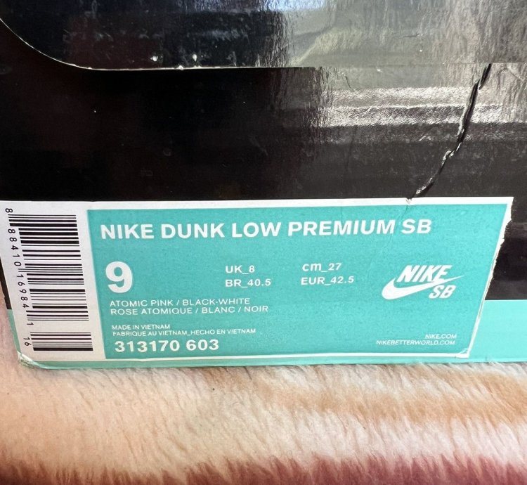Nike Sb Dunk Low Premier Fish Ladder