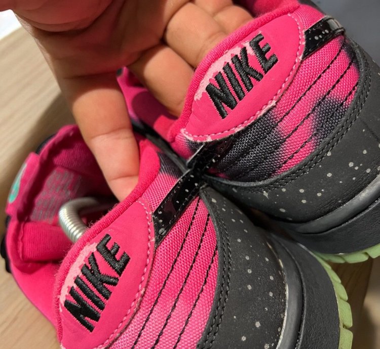 Nike Sb Dunk Low Premier Northern Lights