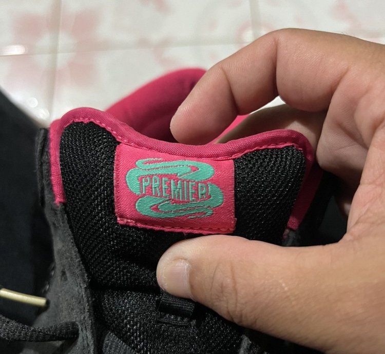 Nike Sb Dunk Low Premier Northern Lights