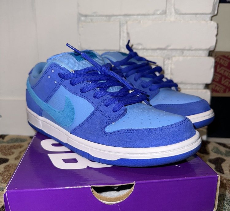 Nike Sb Dunk Low Pro
