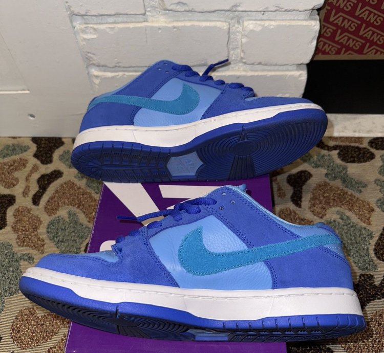Nike Sb Dunk Low Pro