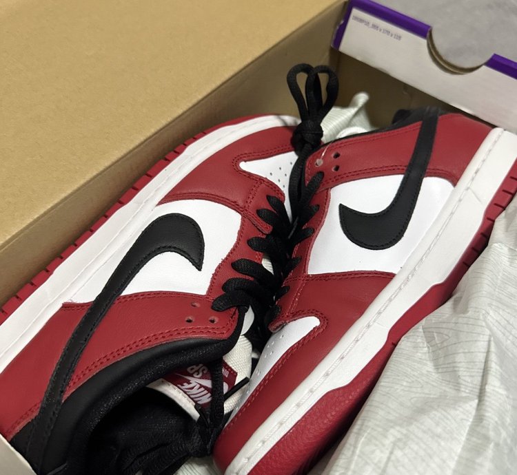 Nike Sb Dunk Low Pro -pack Chicago 2020