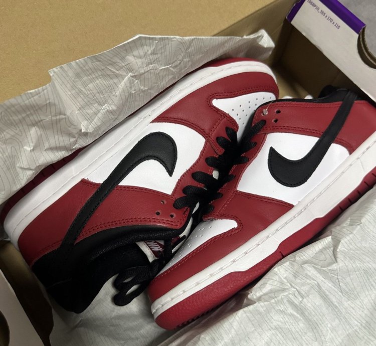 Nike Sb Dunk Low Pro -pack Chicago 2020