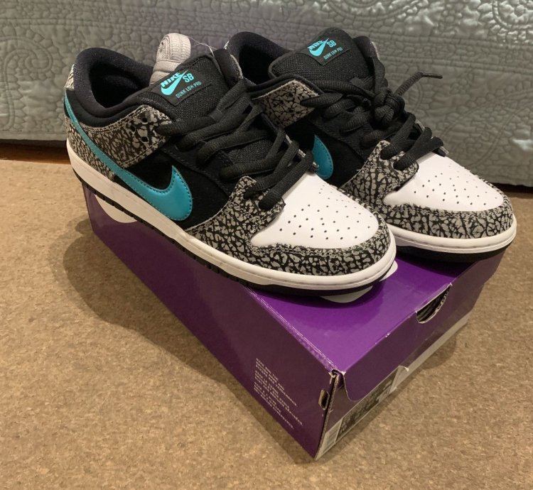 Nike Sb Dunk Low Pro Atmos