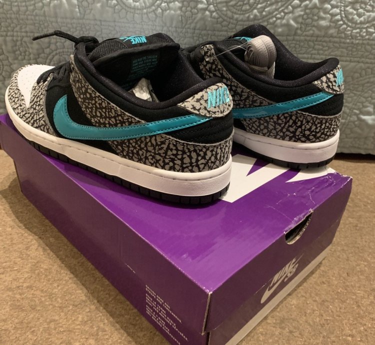 Nike Sb Dunk Low Pro Atmos