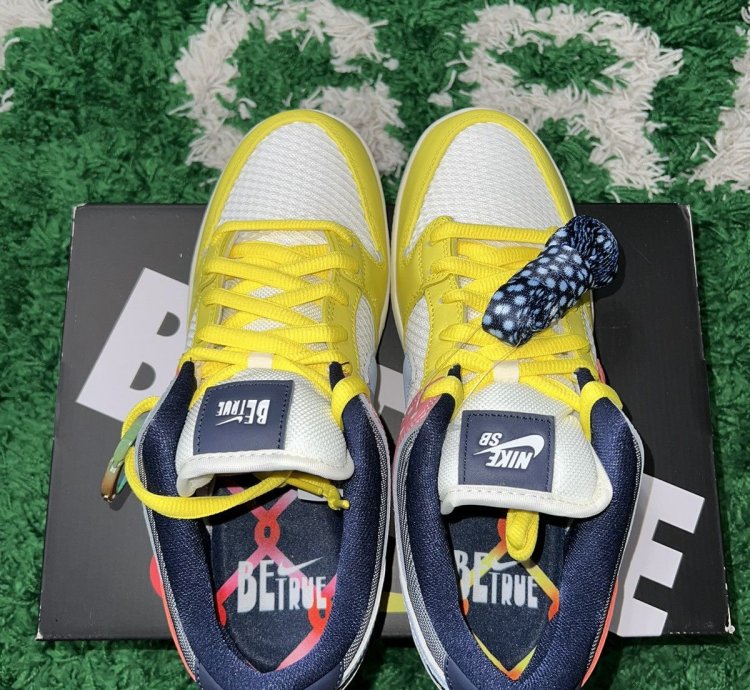Nike Sb Dunk Low Pro Be True Xavier Schipani Size 11