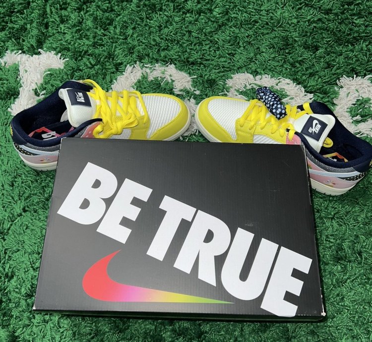 Nike Sb Dunk Low Pro Be True Xavier Schipani Size 11