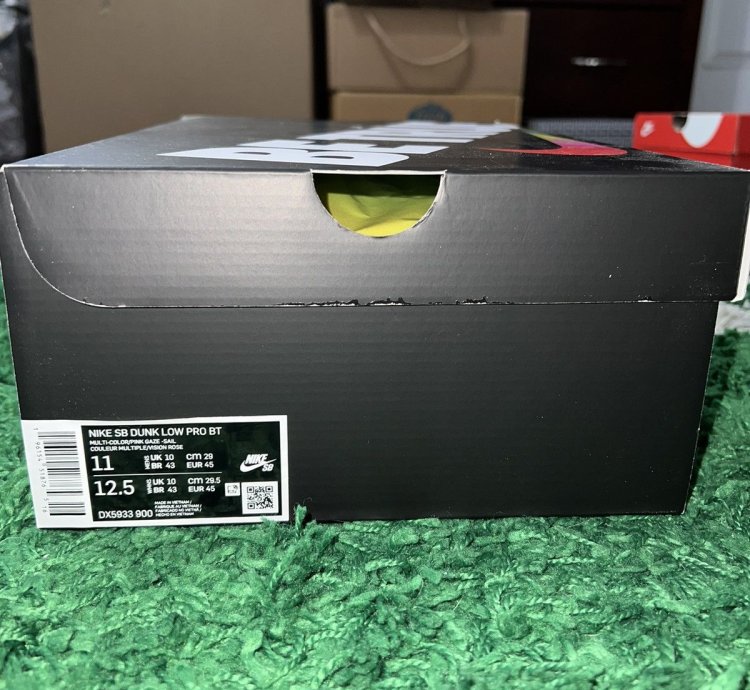 Nike Sb Dunk Low Pro Be True Xavier Schipani Size 11