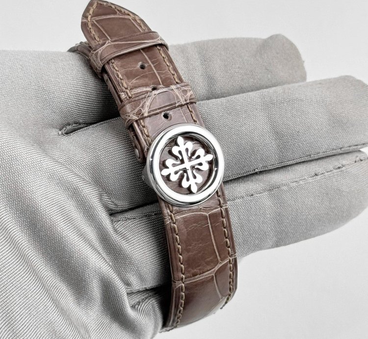 Patek Philippe Perpetual Calendar Grand Complications 5496p-015 Perpetual Calendar Moon Phases Platinum Silver Dial 2018