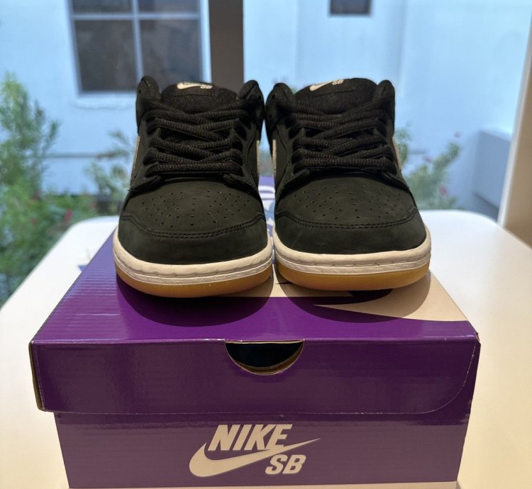 Nike Sb Dunk Low Pro Black Gum