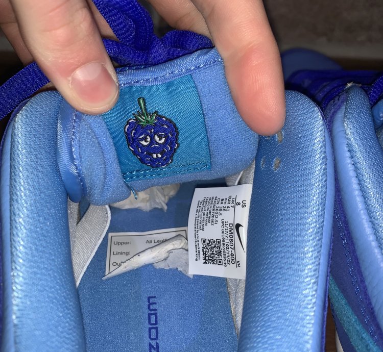 Nike Sb Dunk Low Pro Blue Raspberry