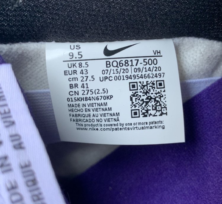 Nike Sb Dunk Low Pro Court Purple