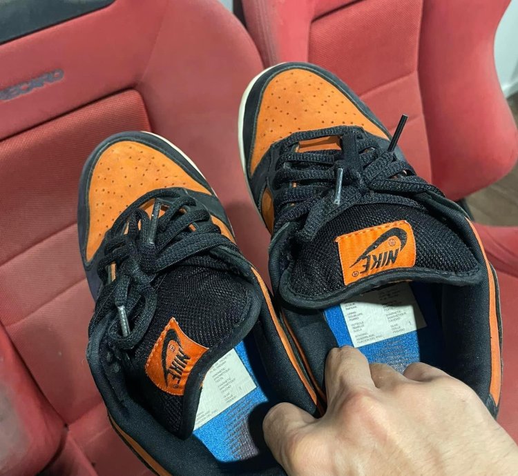 Nike Sb Dunk Low Pro Flash