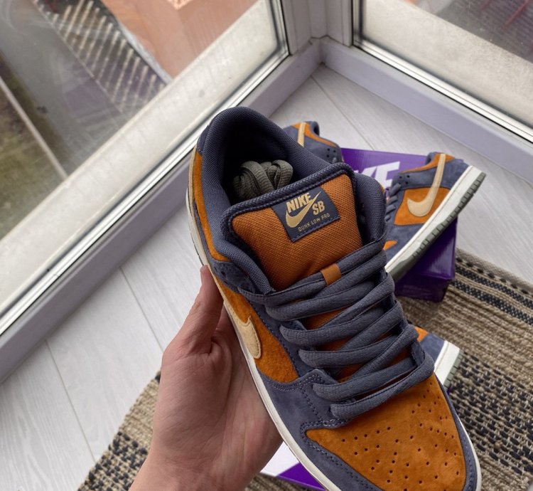 Nike Sb Dunk Low Pro Light Carbon Sk8 Shoes Very Rare New