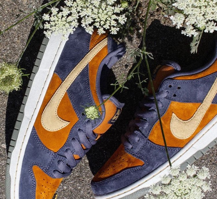 Nike Sb Dunk Low Pro Light Carbon Sk8 Shoes Very Rare New