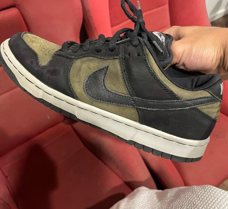 Nike Sb Dunk Low Pro Loden
