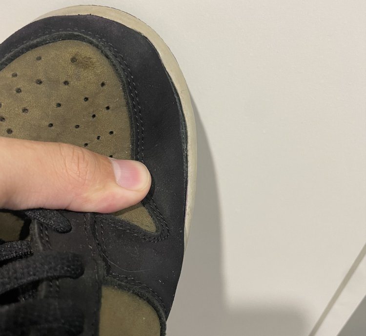 Nike Sb Dunk Low Pro Loden