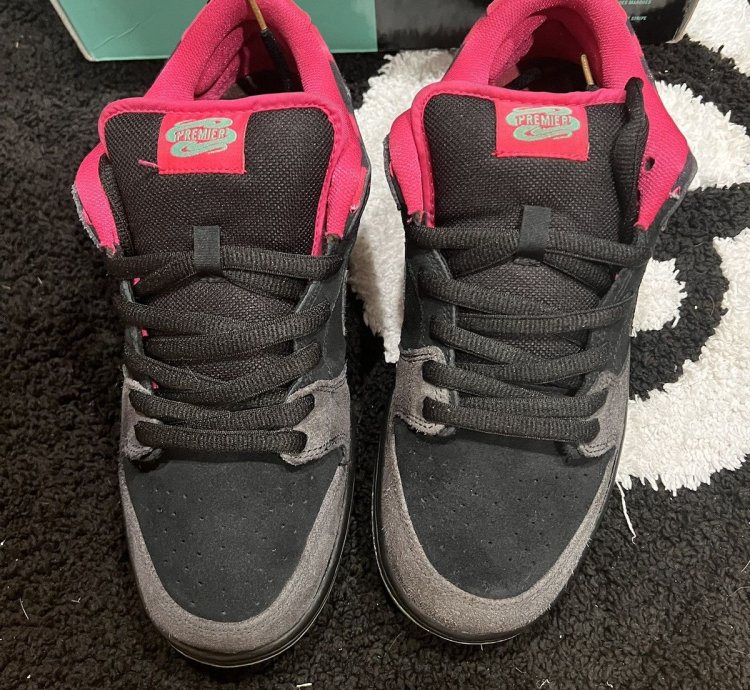 Nike Sb Dunk Low Pro Qs Premier Northern Lights Sz 10 5