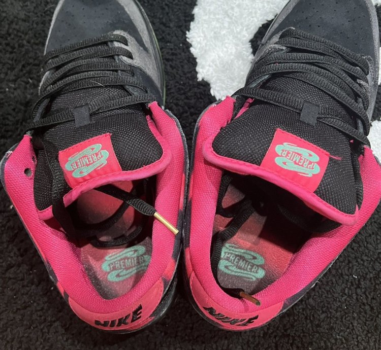 Nike Sb Dunk Low Pro Qs Premier Northern Lights Sz 10 5