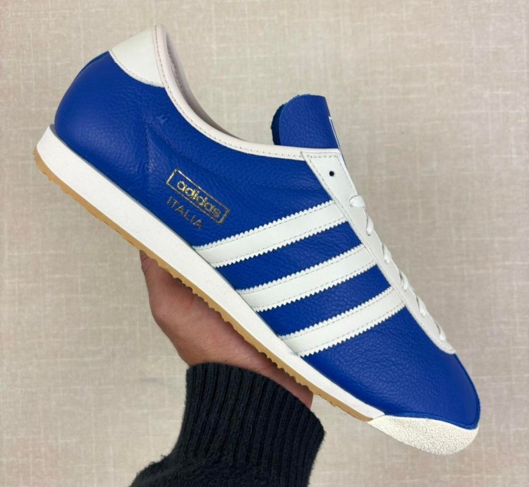 Adidas Company Italia Spezial Collegiate Royal 12m