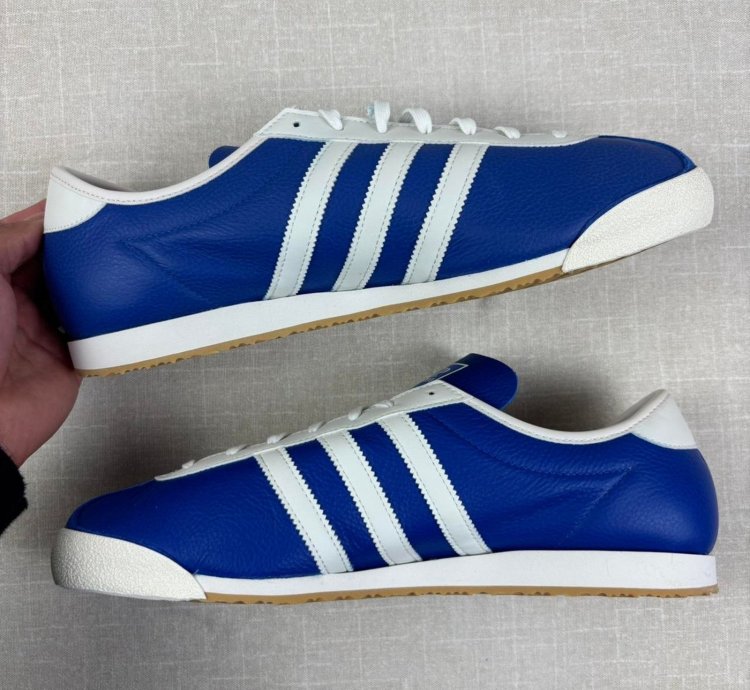 Adidas Company Italia Spezial Collegiate Royal 12m