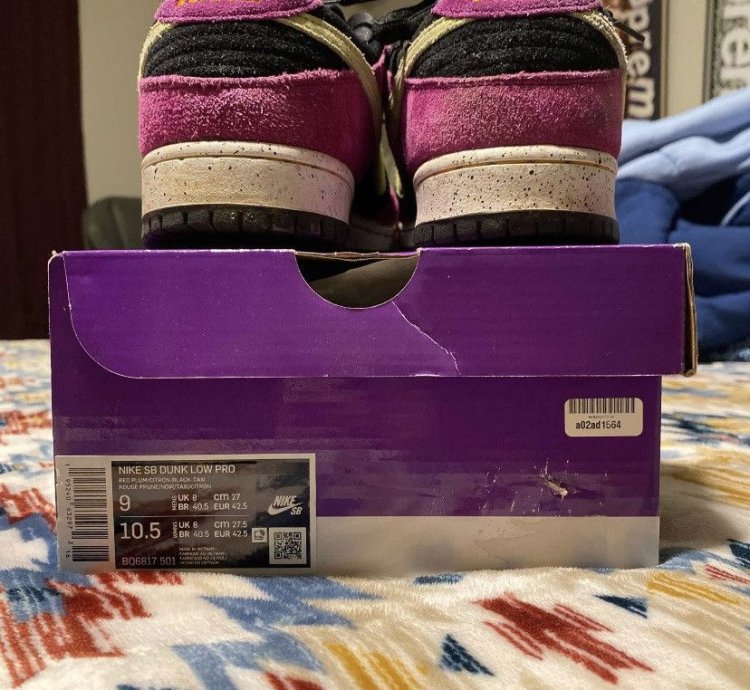 Nike Sb Dunk Low Pro Red Plum